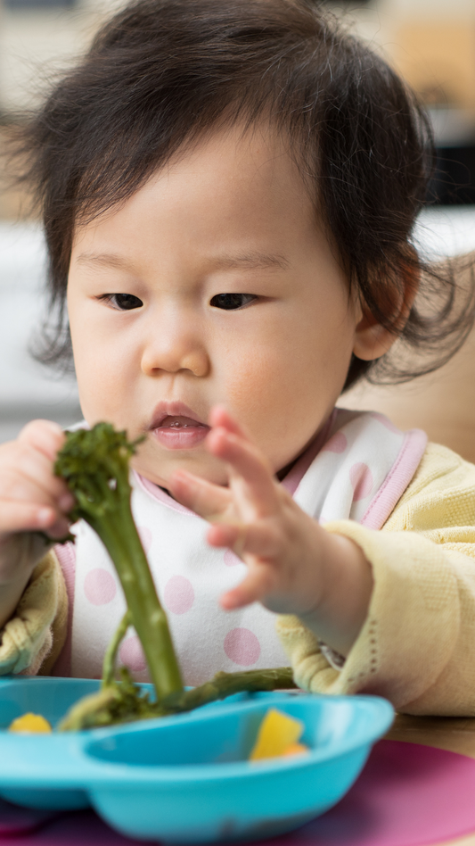 The BEST Baby Led Weaning Tips for Twins